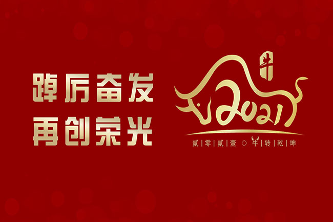 2020年終盤點丨力得踔厲奮發 水電再創榮光